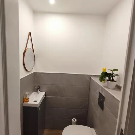 3 Pieces A 10 Minutes Du Celebre Marche De Noel De Strasbourg Apartamento